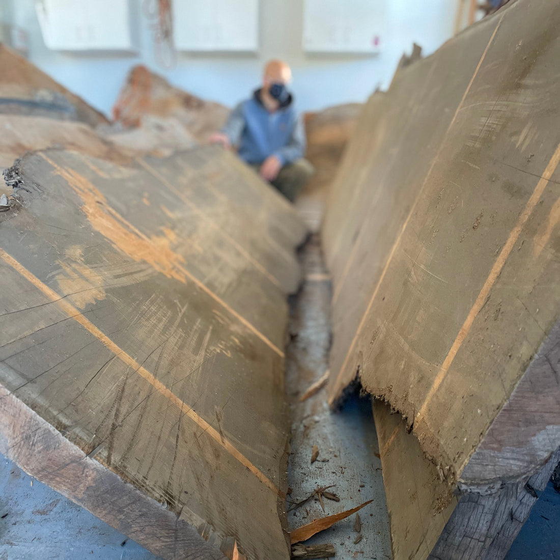 Sourcing & Using Our First Monterey Cypress Slabs