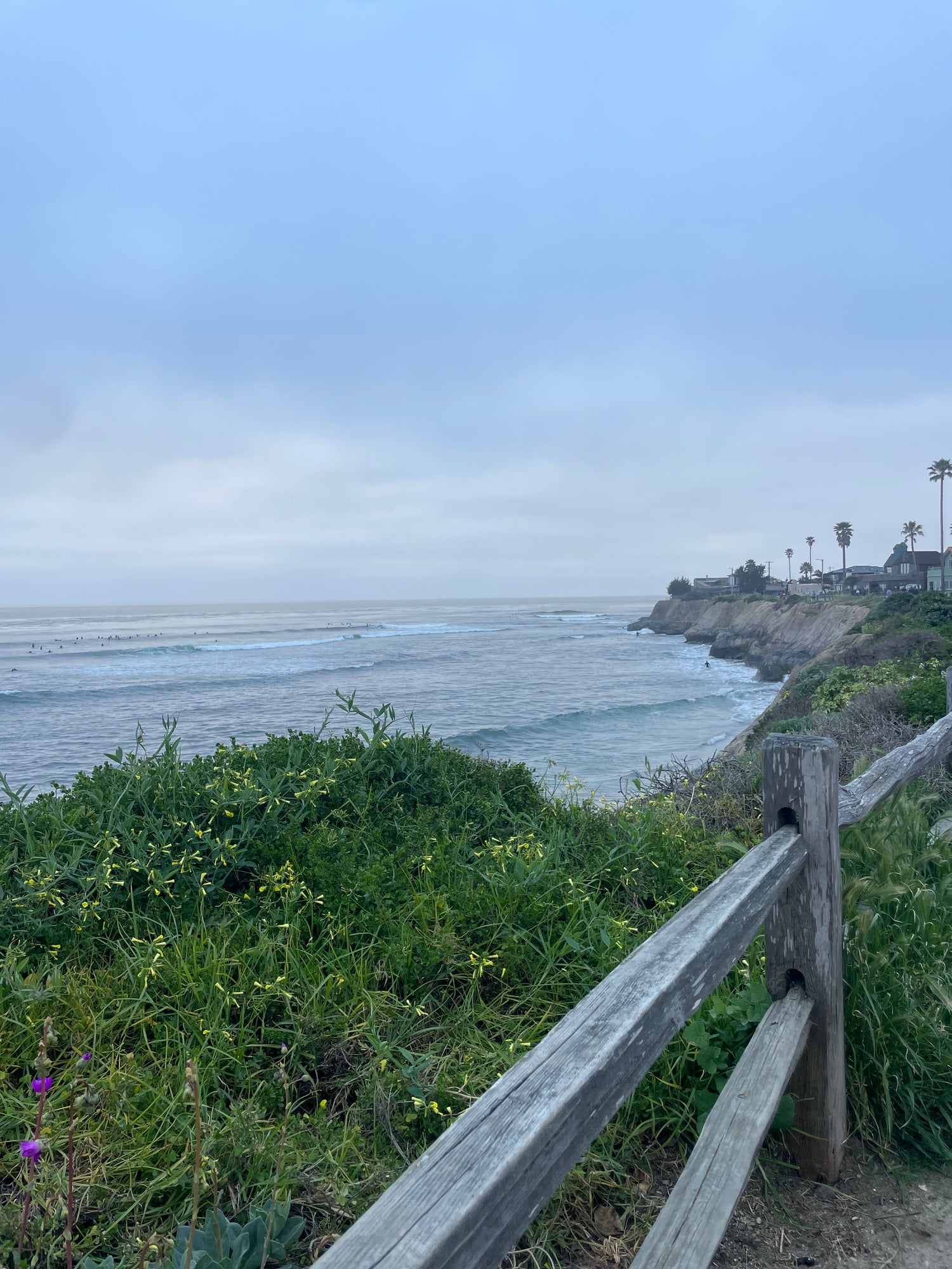 Santa Cruz Earth Day Feature Banner