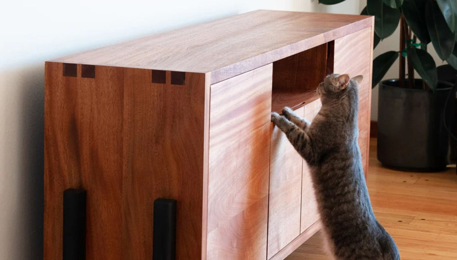 How to care for wood furniture, even with pets