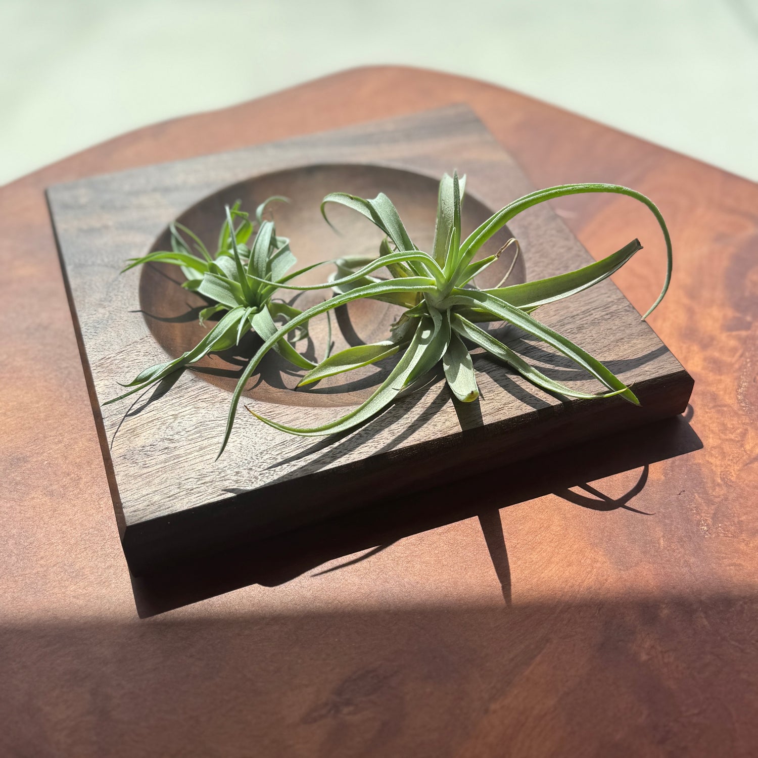 Drop Tray